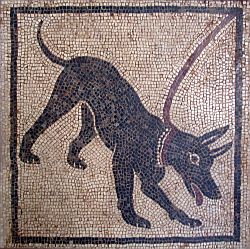 Mosaico Pompei