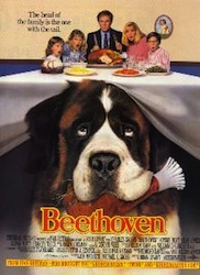 Locandina del film Beethoven