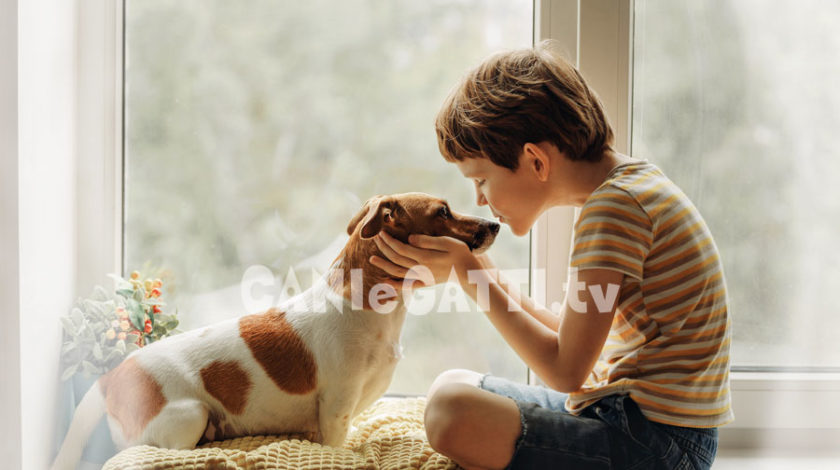 amanti cani, amore per cane, cani e gatti tv