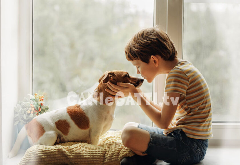 amanti cani, amore per cane, cani e gatti tv