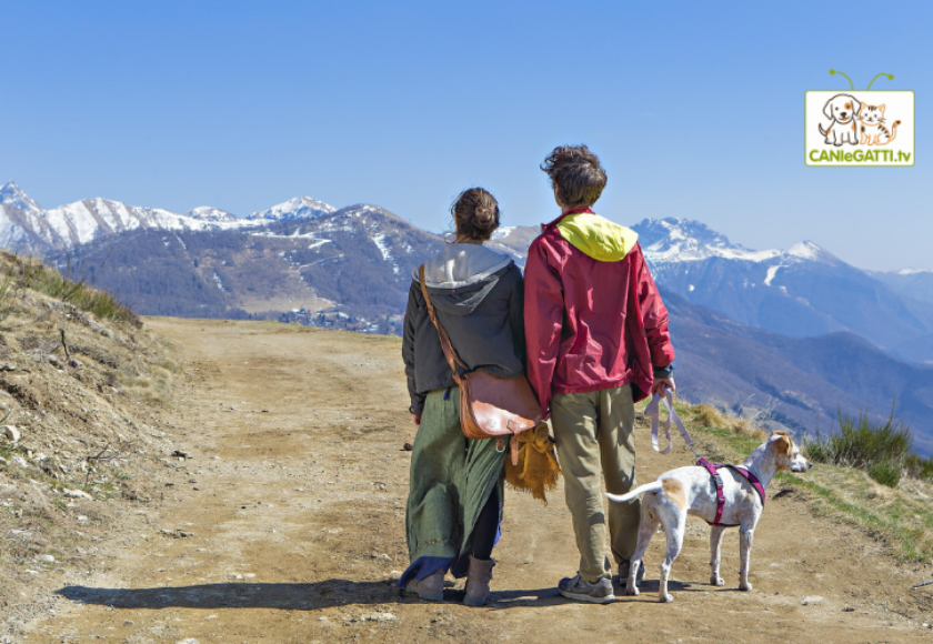 vacanze con il cane
