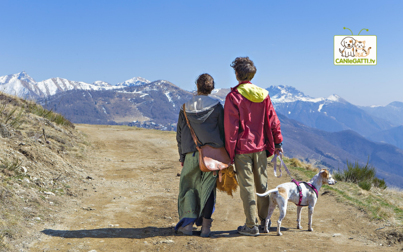 vacanze con il cane