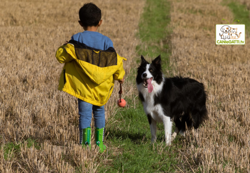 regali cani