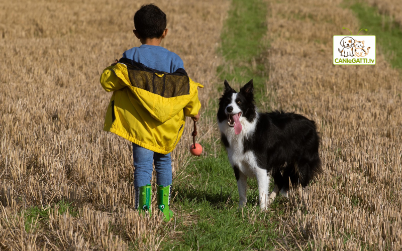 regali cani